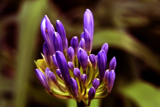 节更
